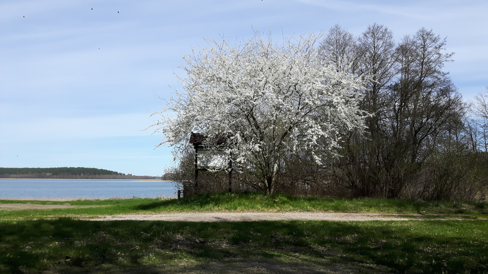 Camping Jastrzęby