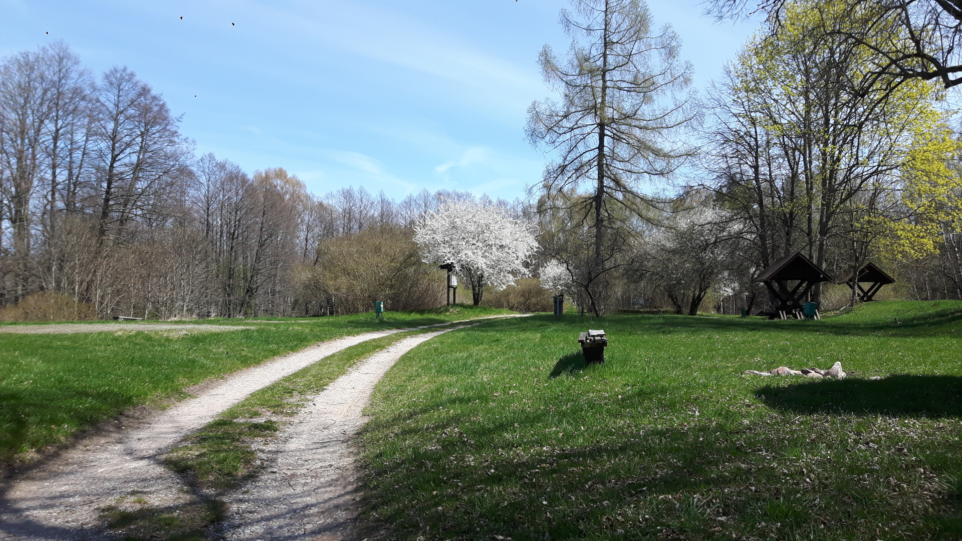 Camping Jastrzęby